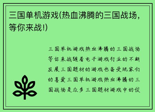 三国单机游戏(热血沸腾的三国战场，等你来战!)